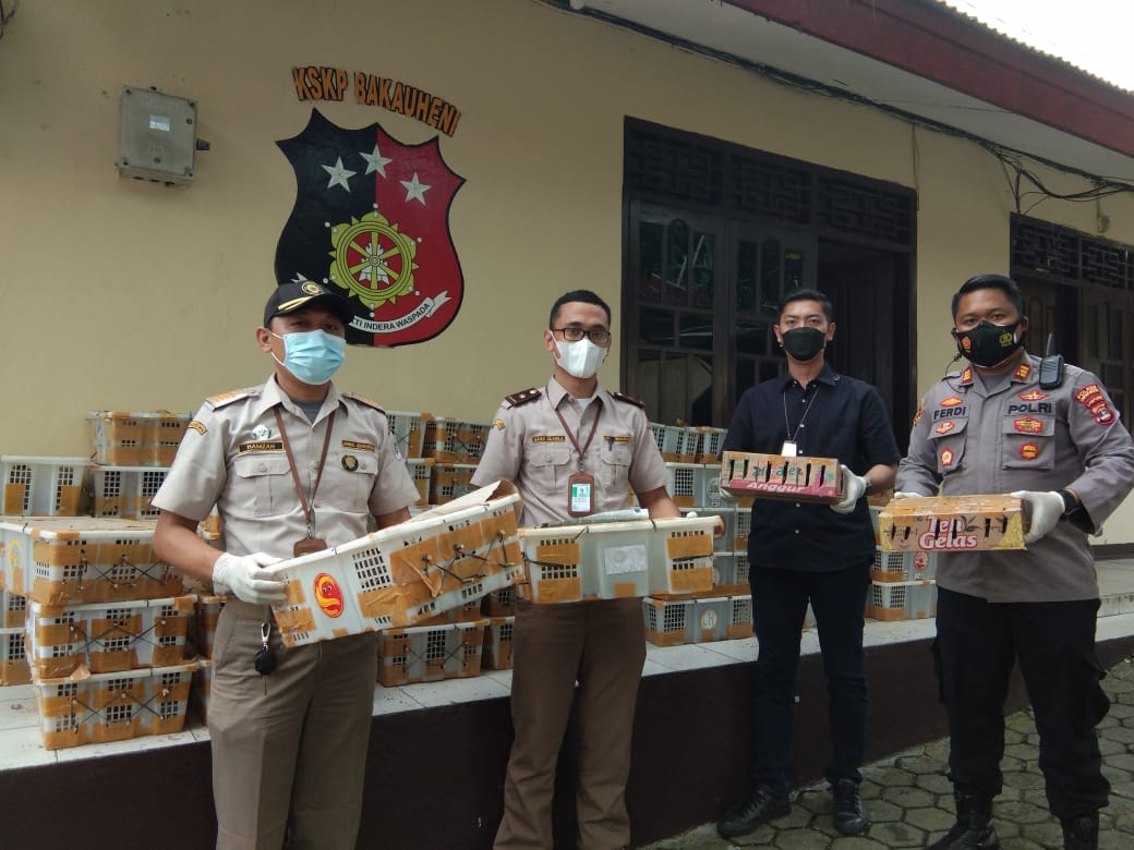 KSKP Bakauheni Amankan Sopir Pembawa 2.057 Ekor Burung 
