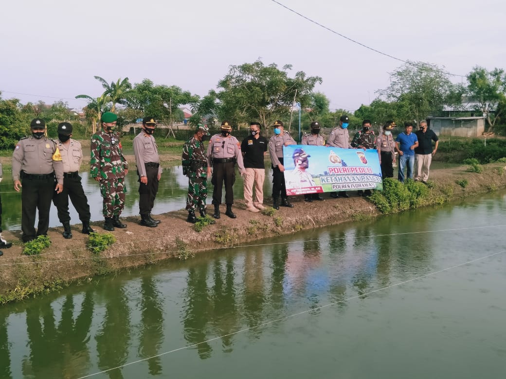 Dukung Ketahanan Pangan, Polres Indramayu Melakukan Budidaya Ikan Lele di Desa Karangsinom