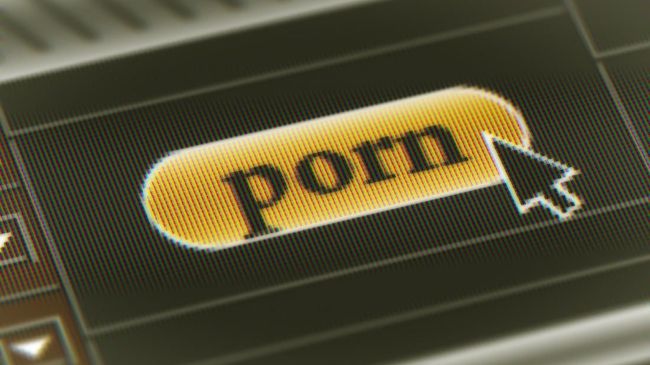Woww!! Ternyata Sejoli Pemeran Adegan Syur di Bogor Produksi 26 Video Porno