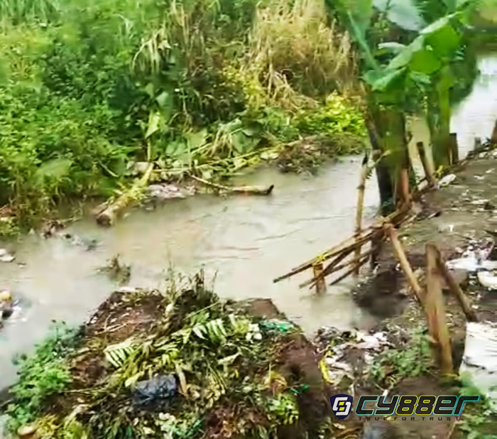 Soal Amdal Tak Kunjung Diperbaiki dan Diduga Tak Ada Niat Baik dari Pihak Pengembang PT Bumi Nursantosa Lestari, Ini Komentar Sekretaris DPC Perkara KBB