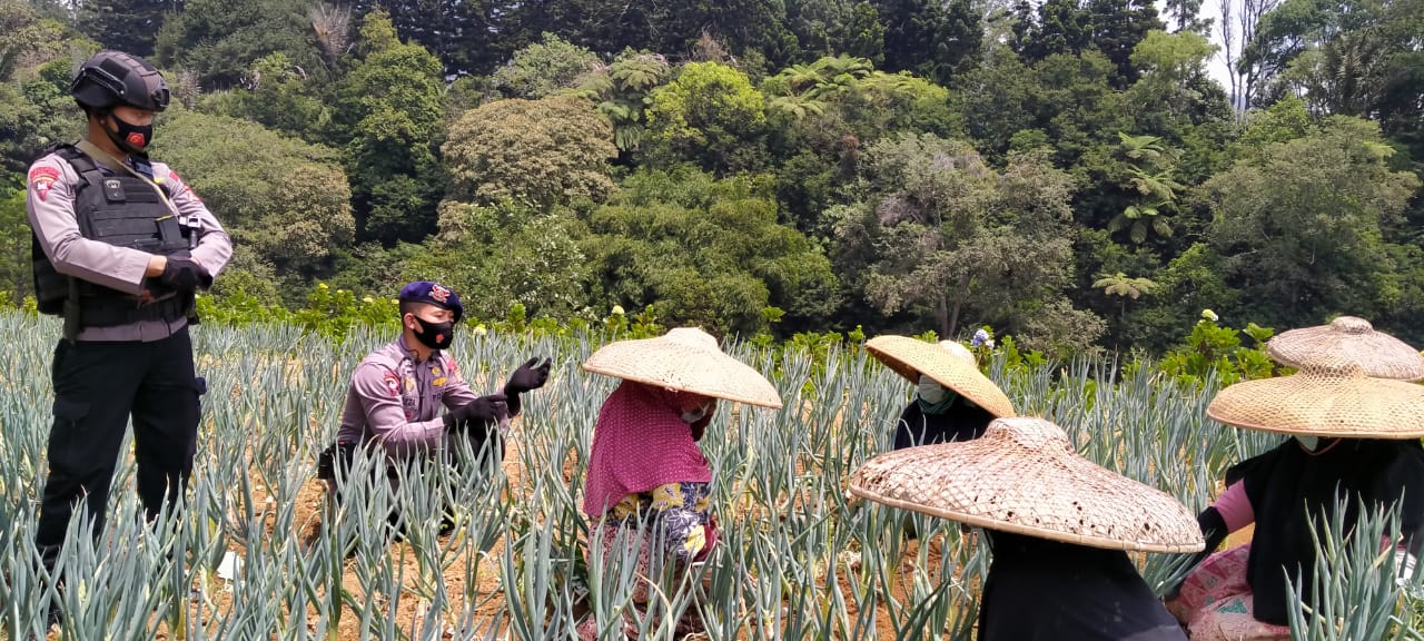 Disiplinkan Protokol Kesehatan Pada Fase AKB, Sat Brimob Polda Jabar Berikan Edukasi Pada Petani