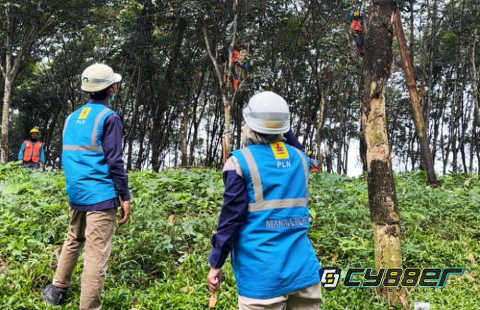 PLN UP3 Cimahi Gelar Aksi Serentak Pembersihan Jalur Distribusi ROW Demi Keandalan Sistem Kelistrikan