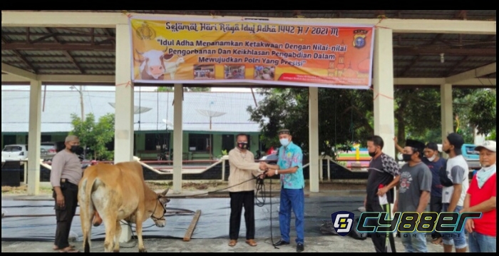 Idul Adha, Polres Inhu Potong 16 Sapi dan 5 Kambing Kurban