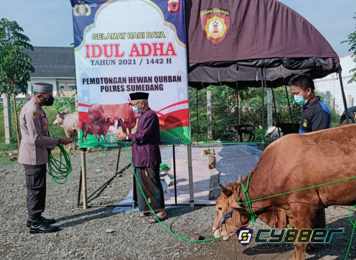 Polres Sumedang Salurkan 4 Ekor Sapi dan 11 Domba
