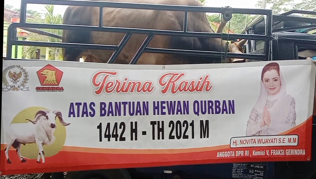 Novita Wijayanti Bagikan Ribuan Daging Kurban Kepada Masyarakat
