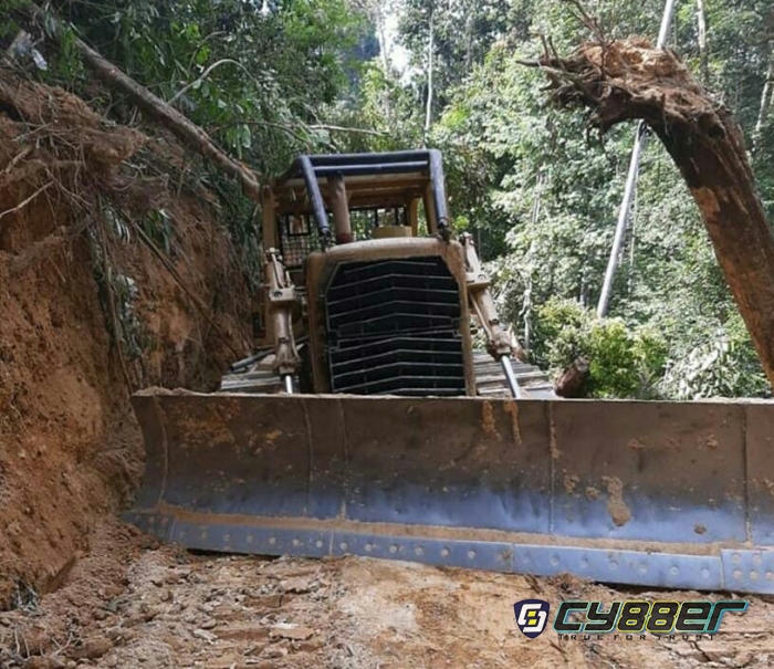 Semakin Beringas, Para Ilegal Logging Diduga Dibeking Oknum Aparat