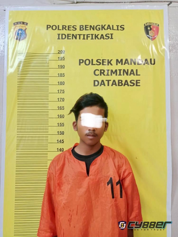 Diduga Mencuri Racun, Seorang Warga Duri Mendekam di Polsek Mandau