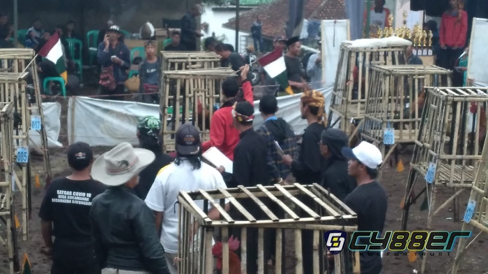 DPK HIPPAPI Bayongbong Gelar Kontes Latber Ayam Pelung
