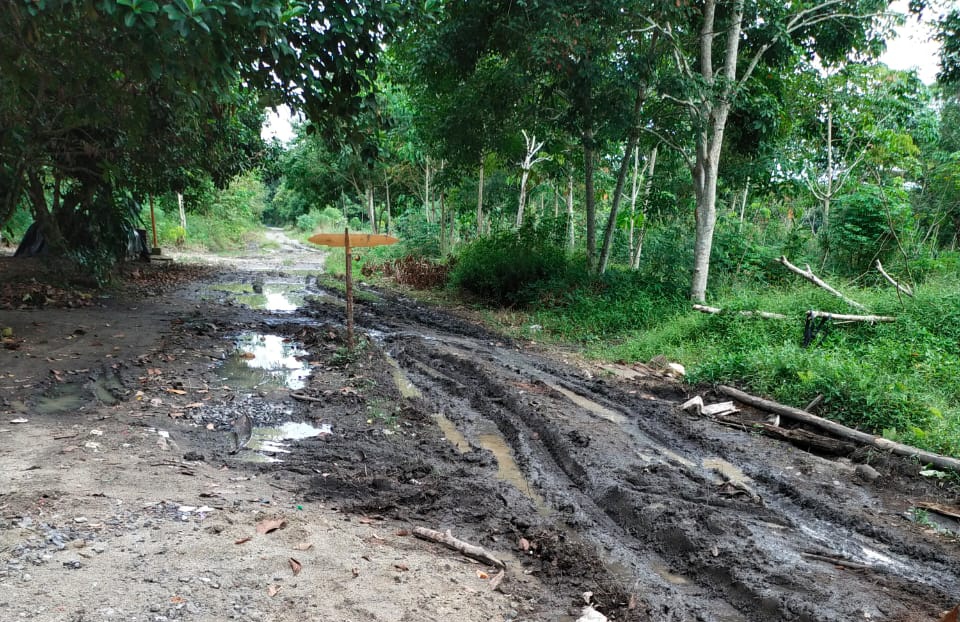 Warga Desa Karang Endah Selatan Keluhkan Pembuatan Jalan Cor Beton