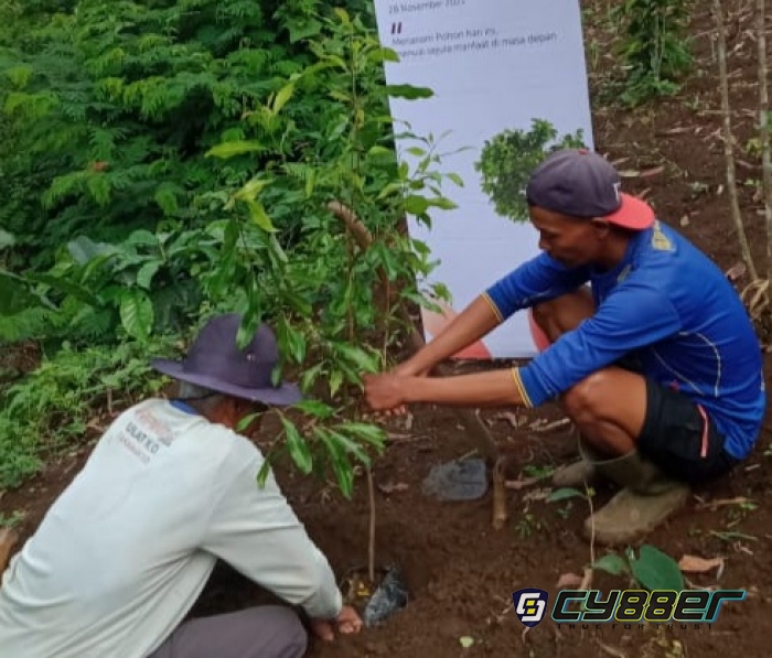 LMDH: Pentingnya Pemulihan Kerusakan Sumber Daya Hutan dan Lahan Melalui Penanaman Pohon