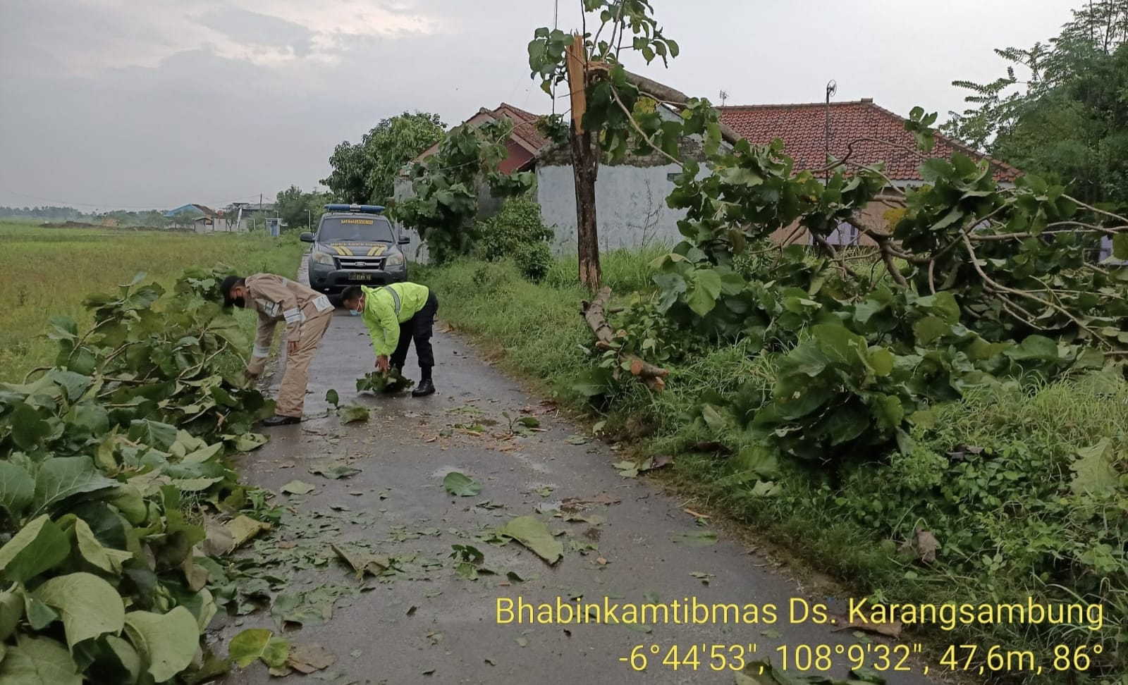 Tutupi Akses Jalan, Sigap Bhabinkamtibmas Polsek Kadipaten Bersihkan Pohon Tumbang