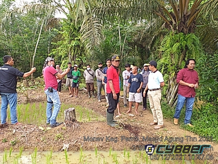 Dinas Pertanian Kabupaten Mesuji Tinjau Lahan Persawahan yang Diduga Tercemar Limbah Pembangunan 