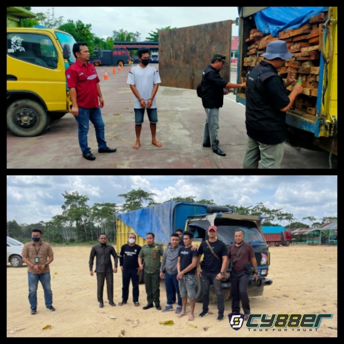 Kembali Polres Inhu dan Polhut Amankan 1 Truk Kayu Ilegal dari Kawasan TNBT