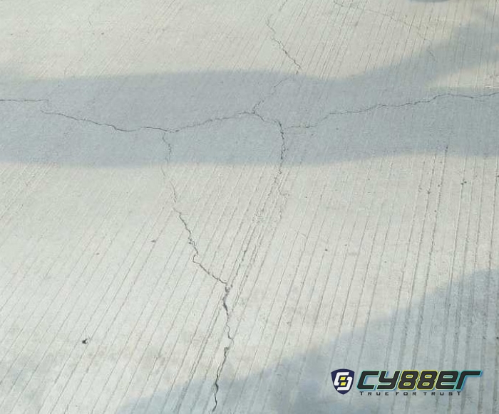 Soroti Program Samisade di Desa Cilember, Ketua LSM Aspirasi Pengembangan Rakyat Berharap APH Turun ke Lapangan