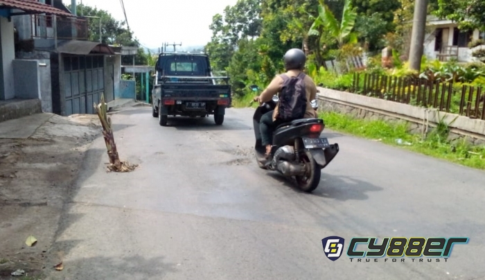 Ungkapan Kekecewaan Warga Desa Cipelang Tanam Pohon di Jalan Aspal