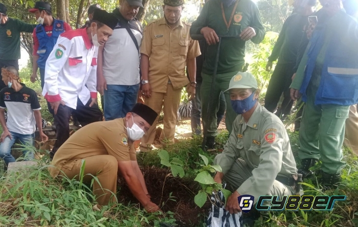Antisipasi Longsoran Tanah, Pemdes Ciapus Tanam 666 Pohon