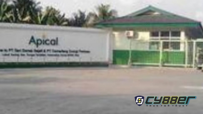 Apical Grup Laksanakan Perawatan Jalan di Kelurahan Lubuk Gaung