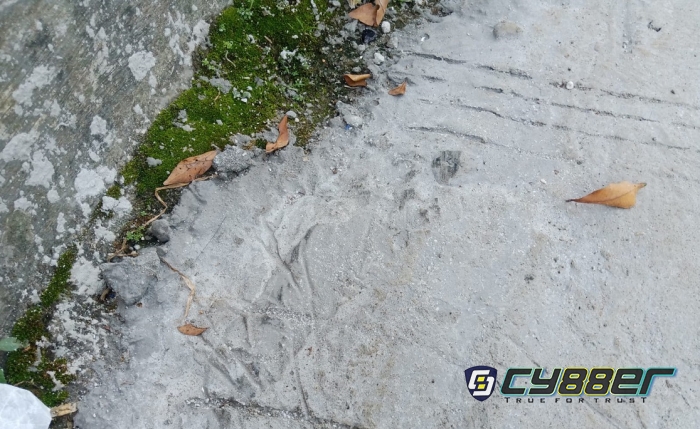 Ketebalan Rabat Beton Program Samisade di Desa Ciburuy Hanya 8 Cm, Warga Bingung Mau Komplain pada Siapa?