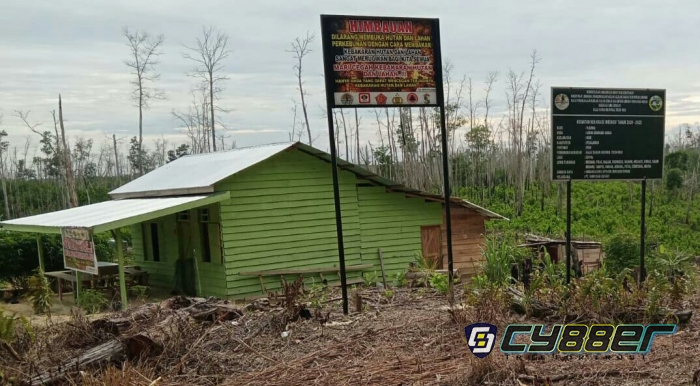 Dugaan Praktek Perambahan Jual Beli Lahan TNTN Desa Lubuk Kembang Bunga Belum Terjamah APH