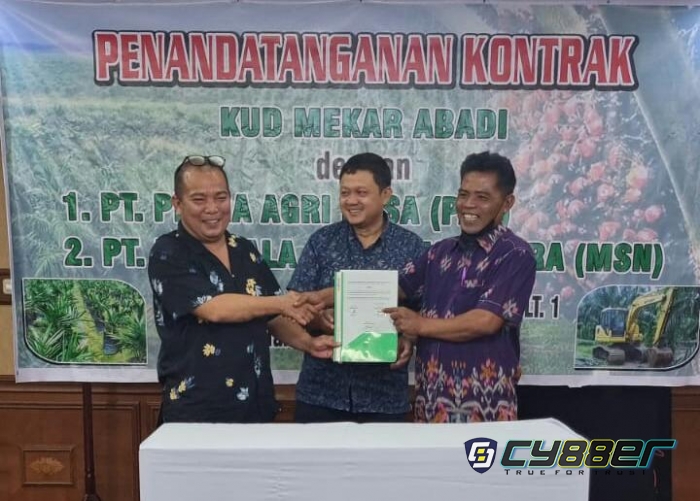 Program PSR, PT Mandala Sena Nusantara Kerjasama Dengan KUD Mekar Abadi