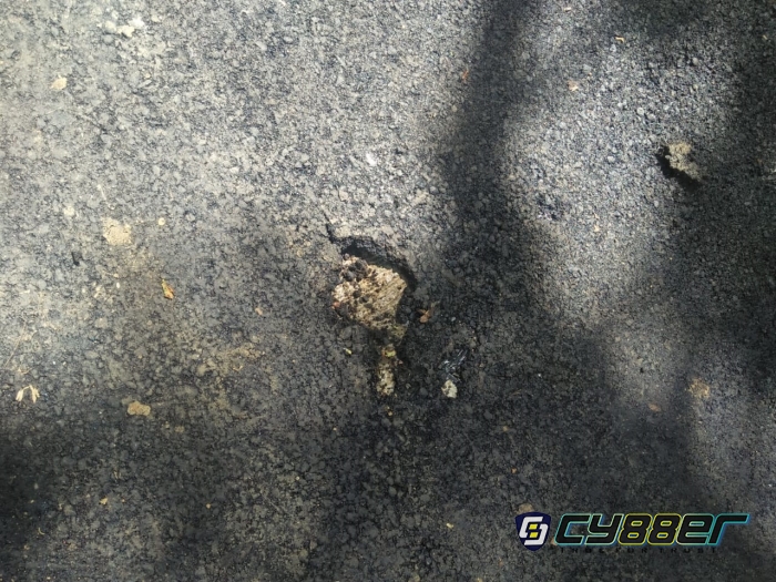 Meski Permendes PDT Sudah Intruksikan Pengelolaan Dana Desa Harus Swakelola, Pemdes Ciadeg Masih Gunakan Pihak Ketiga