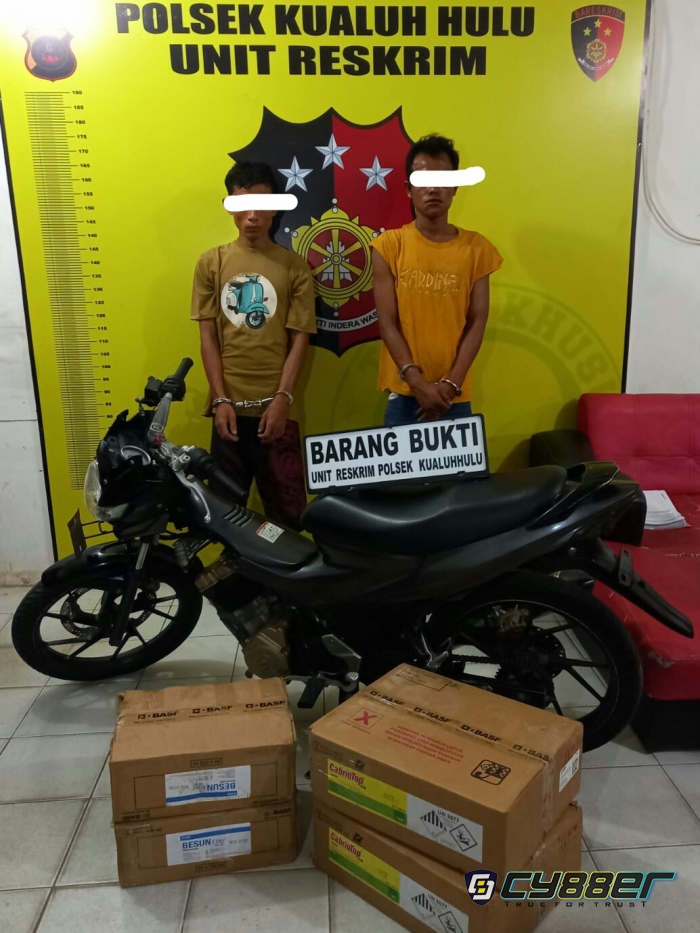 Dua Bajing Loncat Ditangkap, Dua DPO Polsek Kualuh Hulu 
