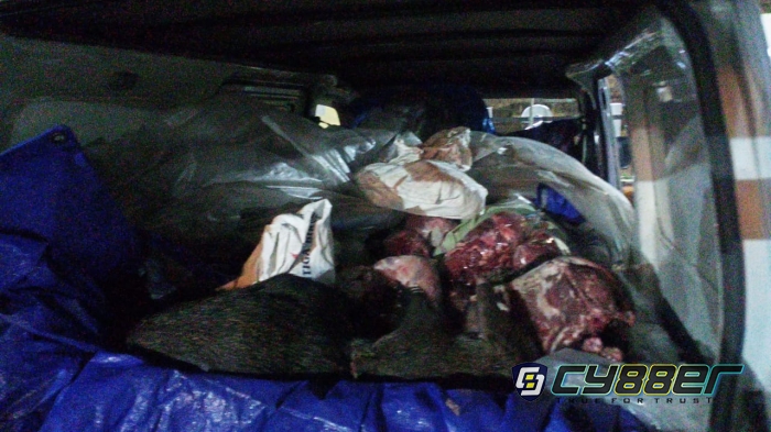 KSKP Bakauheni, Gagalkan Penyelundupan 720 Kg Daging Celeng 
