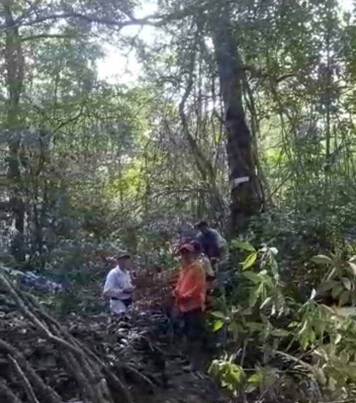 Dana Adopsi Pohon Tidak Kunjung Turun, KTH Lestari Alam Tagih Janji Syamsuar dan Mamun Murod