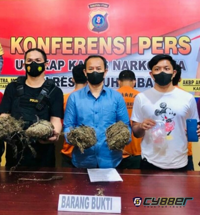 Satreskoba Polres Labuhanbatu Amankan 3 Kg Ganja