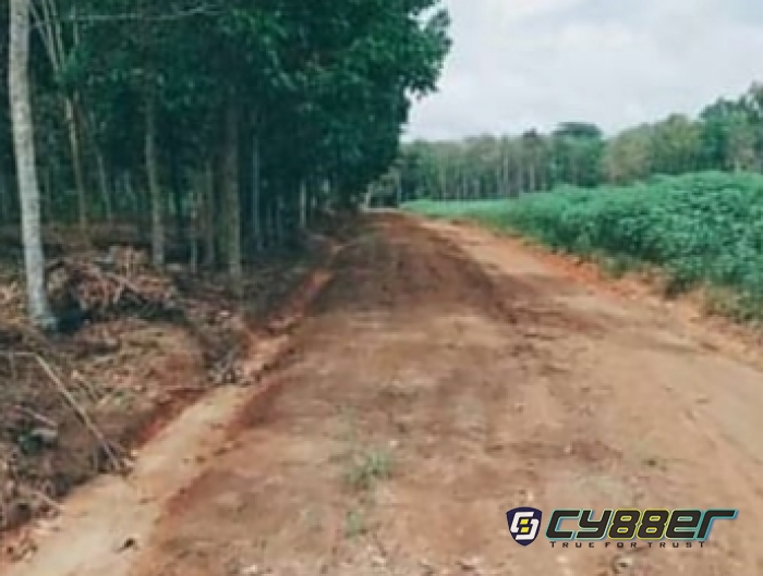 Proyek Pelebaran Jalan Usaha Tani di Desa Tiyuh Wonorejo Pengerjaanya Dinilai Asal Jadi, Dikonfirmasi Kades Berang