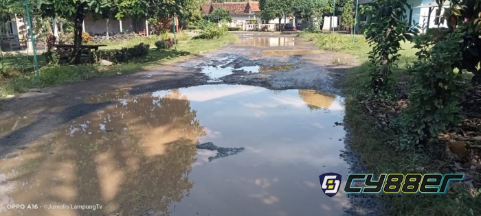 Warga Limau  Keluhkan Kondisi Jalan Lintas Provinsi di Tanggamus Rusak Parah.