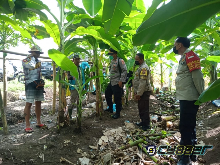 Kapolsek Pekutatan : Petani Sukses Kembangkan SDM Lokal