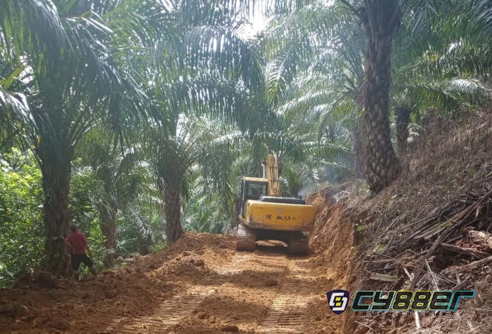 Dinilai Kurang Bermanfaat, Pembangunan JSP di Desa Pagar Alam Disoal Anggota BPD dan Warga