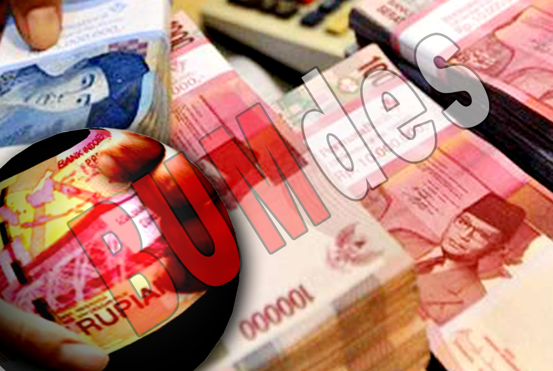 Dugaan Uang Ratusan Juta Digelapkan Oleh Oknum Direktur Bumdes, Dibenarkan oleh Kades Sukasari 