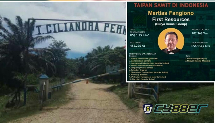 Delapan Perusahaan Surya Dumai Group Diindikasi Tanam 75.378 Hektare Kelapa Sawit di Kawasan Hutan Tanpa Izin Pelepasan dan HGU