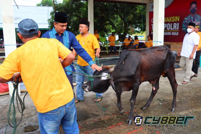 Idul Adha 1443 H, Polres Inhu Potong 13 Hewan Kurban