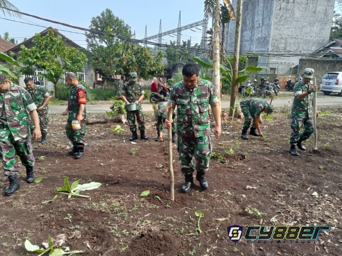 Babinsa Kodim 0424/Tanggamus Manfaatkan Lahan Tidur untuk Ketahanan Pangan