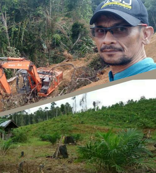 Hutan Konservasi Gajah Teso Nilo Luluh Lantak, Kepala Balai TNTN dan Gakkum LHK Saling 