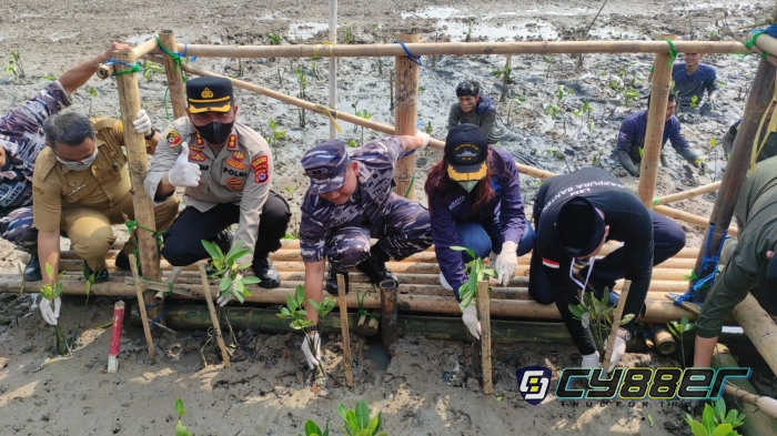 Lanal Banten Turut Sukseskan Hari Mangrove Sedunia