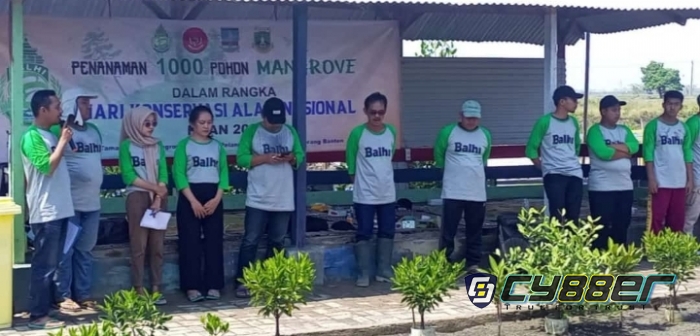 Peringati Hari Konservasi Alam Nasional BALHI Tanam 1000 Mangrove