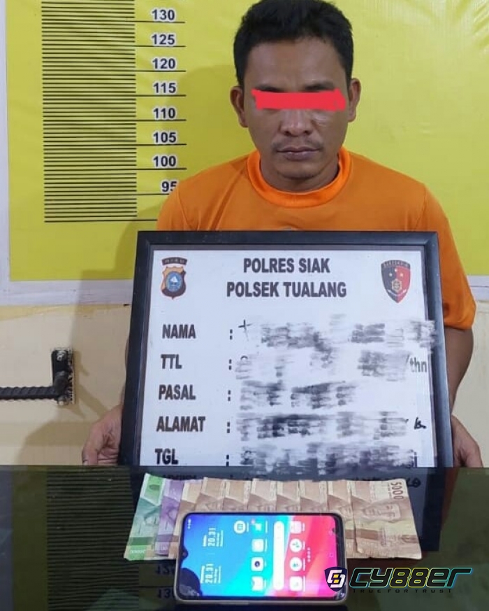 Penjual Chip Higgs Domino Island Ditangkap di Perawang Barat