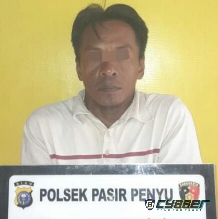 Pria di Inhu Garap Anak Kandungnya, Bercocok Tanam Dilahan Terlarang Berujung Bui.