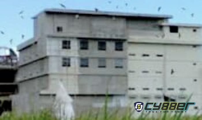 Bangunan Penangkaran Sarang Burung Walet Tidak Sesuai IMB, Ijin Karantina Hewan Dipertanyakan