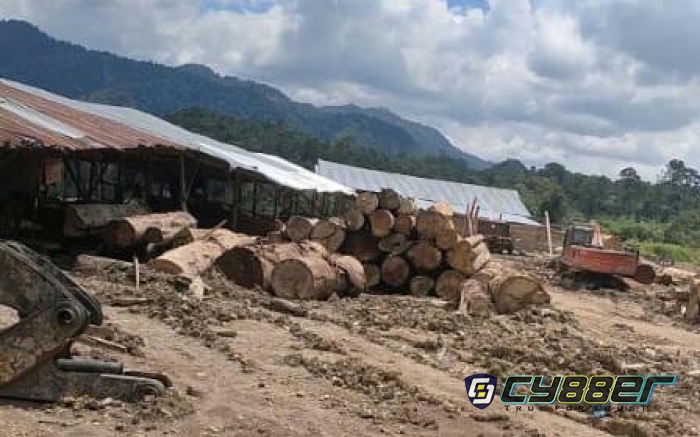 Diduga PT. SSI Berjemaah Dengan H. Rijal Munthe Lakukan Penggundulan Bukit Barisan, di Sulap Menjadi Kebun Kelapa Sawit