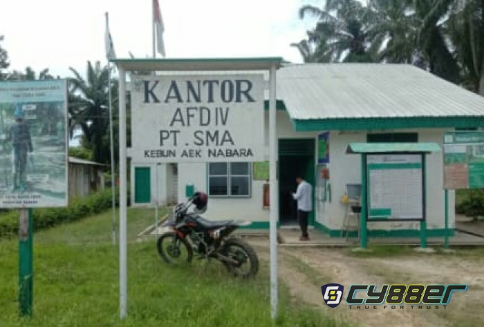Mandor Replanting PT Supra Matra Abadi Diduga Aniaya dan Peras Karyawan BHL