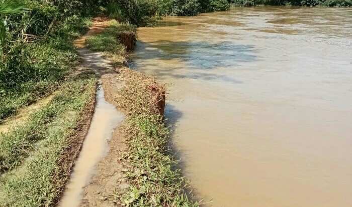 Tanggul Sungai Kualuh Jebol Ancam Banjiri Dua Desa, Komisi C DPRD Labura Angkat Suara