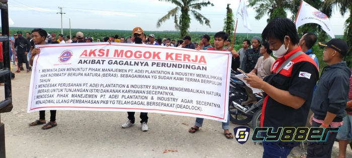 Gagal Berunding, SBSI PT Adei Pelalawan di Demo Ratusan Karyawan