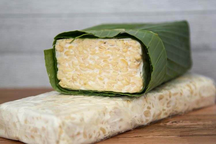 Cara Membuat Pupuk Organik Cair dari Tempe