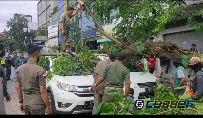 Pohon Tumbang Akibat Angin Kencang dan Menimpa 2 Unit Mobil