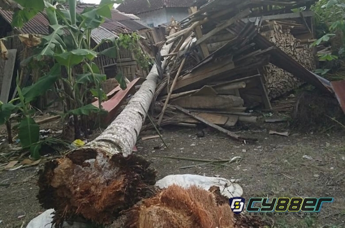 Tragedi Tumbangnya Pohon Kelapa Yang Menimpa Rumah Warga.